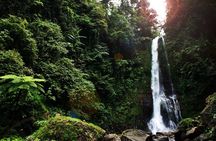 Bali Overnight 2 Days 1 Night: Mt.BATUR KINTAMANI - NORTH BALI LOVINA with HOTEL