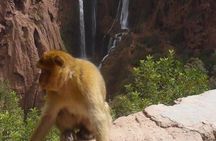 Ouzoud Waterfalls Shared Group Day Trip from Marrakech