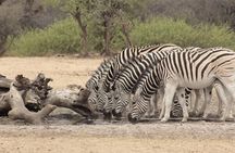 Botswana Classic Camping Safari ( 8nights/9 days)