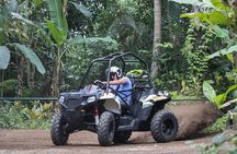 Half Day Jungle Buggies in Bali with Guide