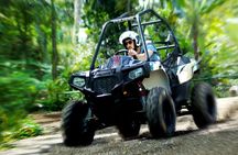 Half Day Jungle Buggies in Bali with Guide