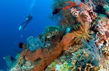 Discover Scuba Diving in Pemuteran at the Biorock site,1 shore dive all included