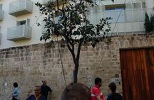 Private Tour: Non-Stop Tel-Aviv
