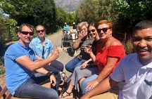 1h30m – Wine Tasting Carriage Trail