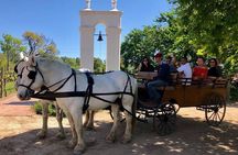 1h30m – Wine Tasting Carriage Trail