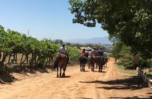 1h30m – Horse Trail