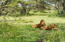 9 Days - Best of Tanzania Safari