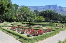 Table Mountain City Tour Camps Bay Kirstenbosch Gardens Plus All tickets Shared