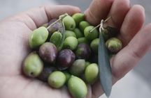 Cook with Locals | Cretan cooking Class at Archanes Village