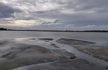 Bundala National Park Private Safari with Naturalist