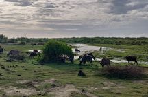 Bundala National Park Private Safari with Naturalist