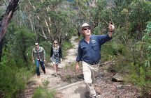 Blue Mountains Day Tour With Bushwalks, Waterfalls & Featherdale