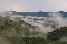 The 4x4 Mountain Tour of the Paramin Hills