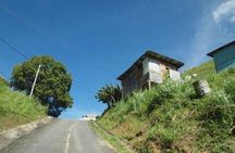 The 4x4 Mountain Tour of the Paramin Hills