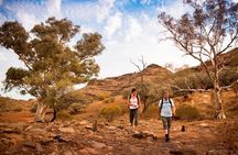  Flinders Ranges 3-Day Small Group 4WD Eco Tour from Adelaide