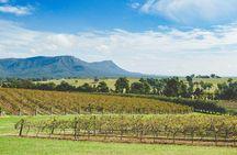 Award-Winning Hunter Valley Wine & Cheese Tour from Sydney
