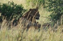 3 Days Murchison falls park Uganda 