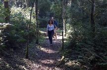 Day trip to Mocona Falls and Salto Encantado Provincial Park