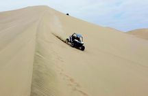 1-hour tour in a Polaris vehicle / Huacachina desert