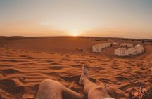 Sahara Desert Tour - 2 Days - Fez to Marrakech OR Return to Fez