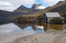 Cradle Mountain Sightseeing Tour from Devonport or Burnie