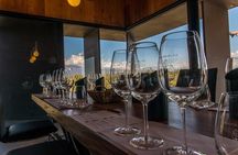 Small group tour in 3 wineries in North Uco Valley with lunch