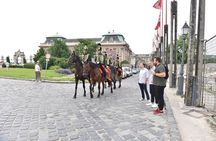 Castle District tour with Matthias Church Ticket & Cake & Coffee