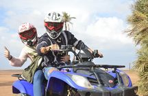 From Marrakech: Palm Grove Quad Bike and Camel Ride Tour