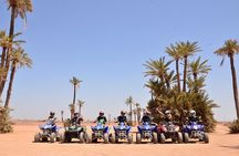 From Marrakech: Palm Grove Quad Bike and Camel Ride Tour