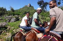 Citadelle Laferriere Sightseeing Tour from Cap-Haitien