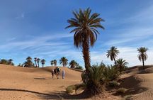 3-day trek - In the shade of palm trees