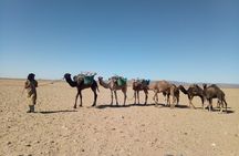 3-day trek - In the shade of palm trees
