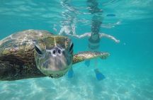 Mahina Hawaii Full Day Adventure