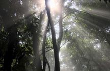 Private hike to active Izalco and Cerro Verde volcanoes. 2 volcanoes in one day!