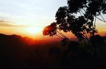 Ella full day tour/Sigiriya/kandy/yala/mirissa/discover Srilanka 