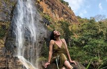 Ella full day tour/Sigiriya/kandy/yala/mirissa/discover Srilanka 