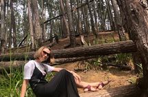 Ella full day tour/Sigiriya/kandy/yala/mirissa/discover Srilanka 