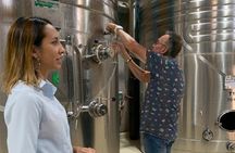 Intimate Wine Tour with Wine Pairing Lunch