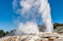 Hobbiton & Rotorua Small Group Tour including Te Puia from Auckland 