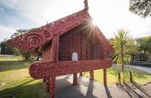 Waitomo Caves & Rotorua - Te Puia Small-Group Tour from Auckland