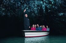 Hobbiton & Waitomo Caves Small Group Tour from Auckland