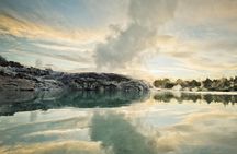 Hobbiton & Rotorua Small Group Day Tour inc Te Puia from Auckland