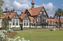 Hobbiton & Rotorua Small Group Tour including Te Puia from Auckland 