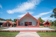 Rotorua Day Tour inc. Te Puia Tour, Lunch & Cultural Show