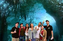 Waitomo Caves & Hobbiton Small Group Tour from Auckland 