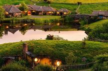 Hobbiton & Rotorua Small Group Day Tour inc Te Puia from Auckland
