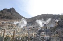 Hakone Full-Day Private Tour(Tokyo DEP.) with Government-Licensed Guide