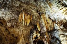 Waitomo Caves & Rotorua Small Group Tour including Te Puia from Auckland 