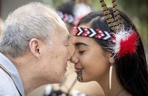 Rotorua Highlights Tour from Auckland with Optional Extras