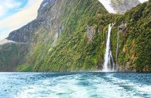 Premium Milford Sound Tour, Cruise & Lunch from Te Anau